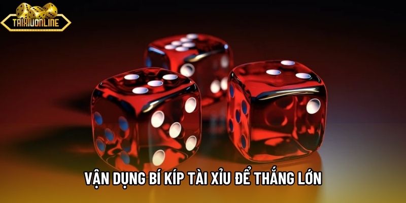 Vận dụng bí kíp tài xỉu để thắng lớn Vận dụng bí kíp tài xỉu để thắng lớn