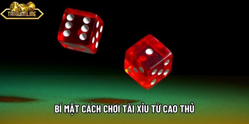 Bí mật cách chơi tài xỉu từ cao thủ