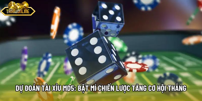 Dự Đoán Tài Xỉu Md5: Bật Mí Chiến Lược Tăng Cơ Hội Thắng
