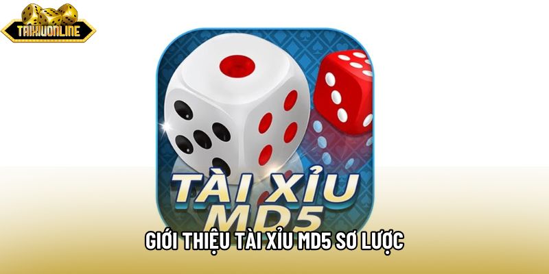 Giới thiệu tài xỉu md5 sơ lược Giới thiệu tài xỉu md5 sơ lược