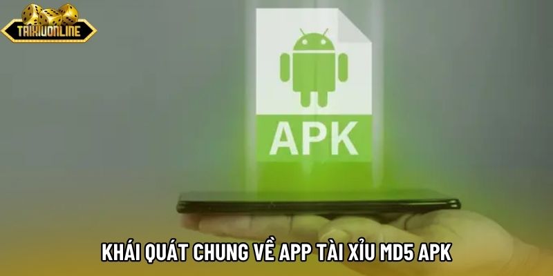 Khái quát chung về app tài xỉu md5 APK