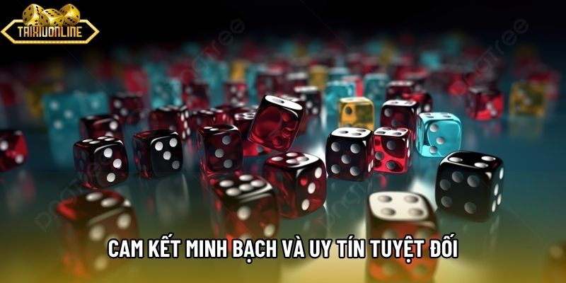 Cam kết minh bạch và uy tín tuyệt đối