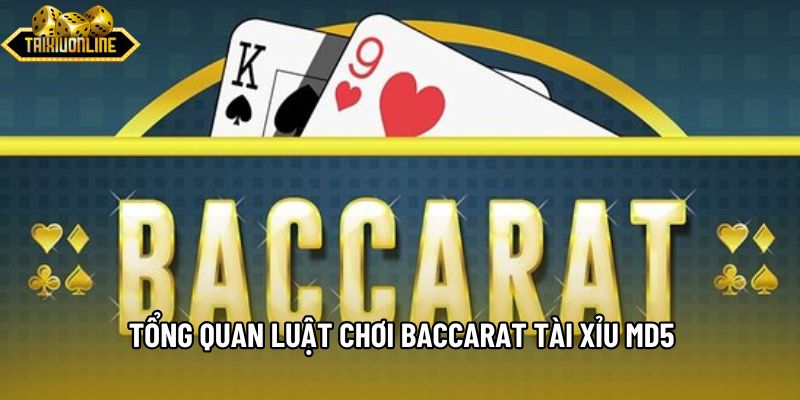 Tổng quan luật chơi baccarat Tài xỉu md5